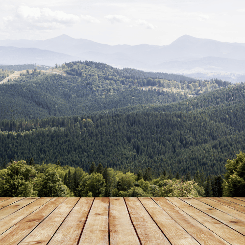 Mountain Service 2 Supporting Image 1