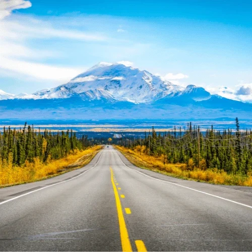 Mountain Service 3 Supporting Image 2